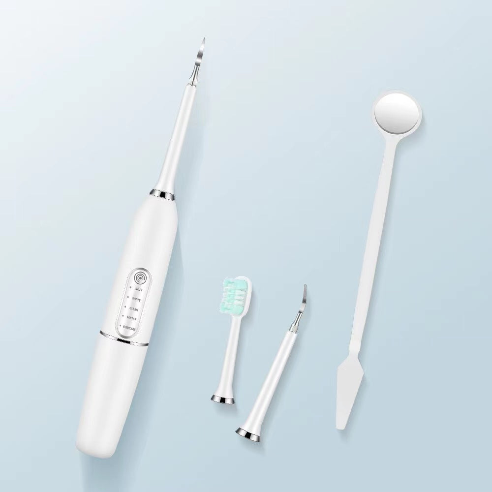 Oral Irrigator Sonic Electric Toothbrush Teeth Dental Cleaner Set