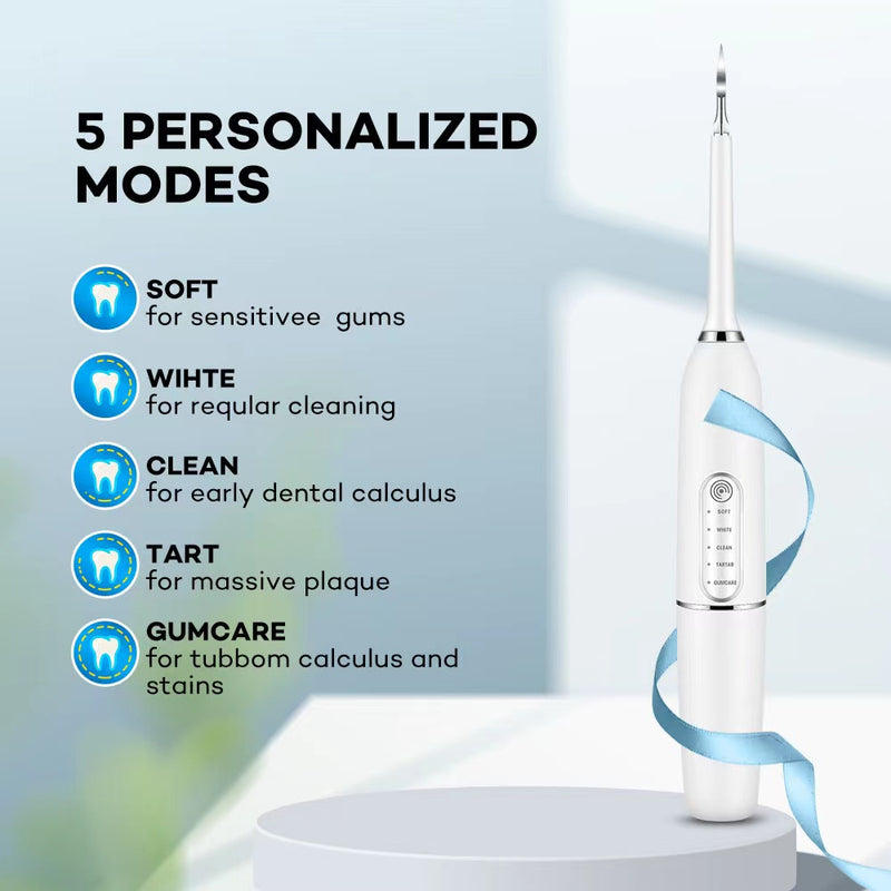 Oral Irrigator Sonic Electric Toothbrush Teeth Dental Cleaner Set