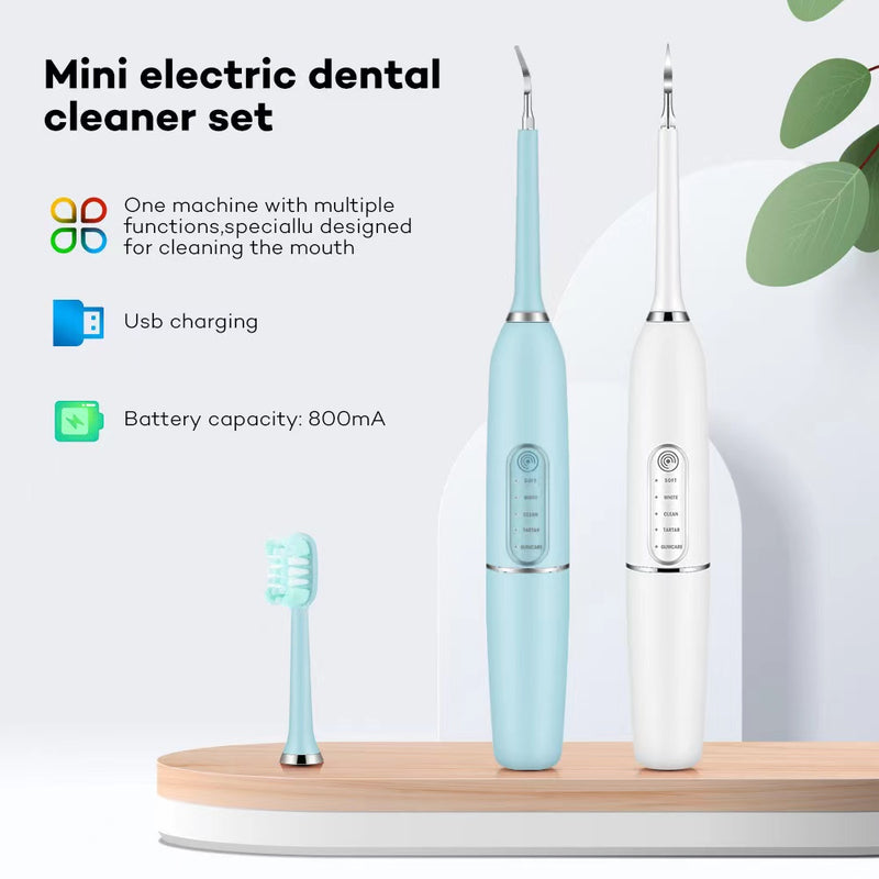 Oral Irrigator Sonic Electric Toothbrush Teeth Dental Cleaner Set