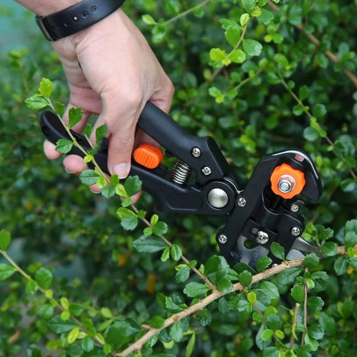Garden Grafting Tool Set Kit Fruit Tree Pro Pruning Shears Scissor Cutting Tools