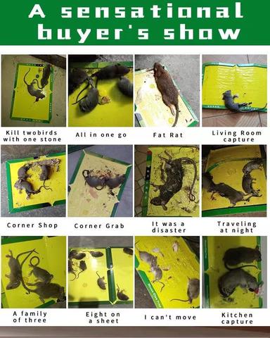 Free shipping-1PC/5PCS/10PCS/20PCS Rat Mice Mouse Rodent Bug Cockroach Snare Glue Catcher Sticky Board