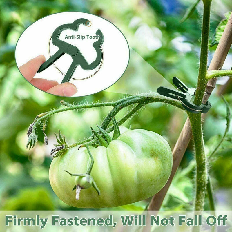 Free shipping- 20PCS Garden Plant Clips Tomato Tie Stem Orchid Support Weatherproof Grow Training
