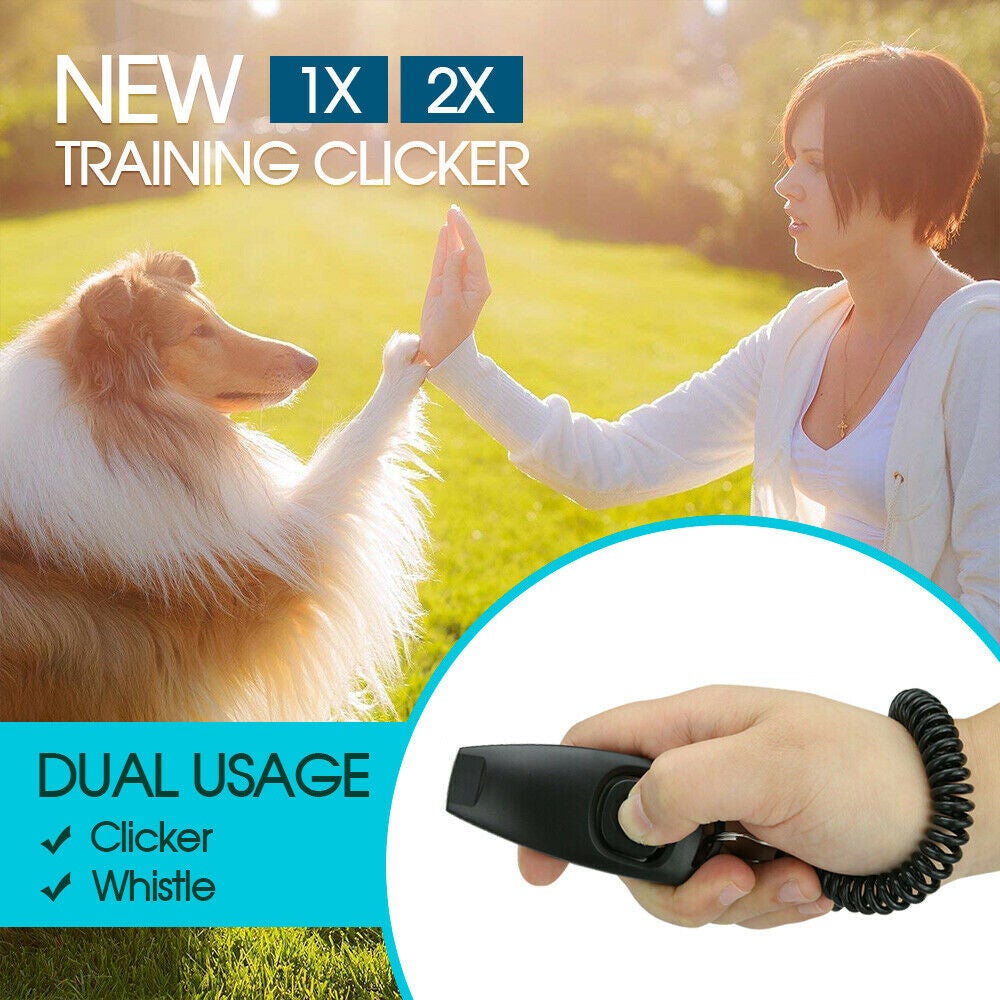 Free shipping-2in1 Pet Clicker with Keychain