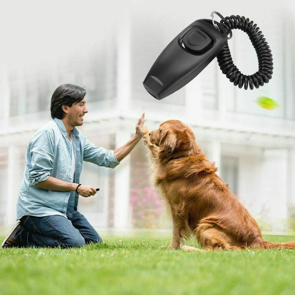 Free shipping-2in1 Pet Clicker with Keychain