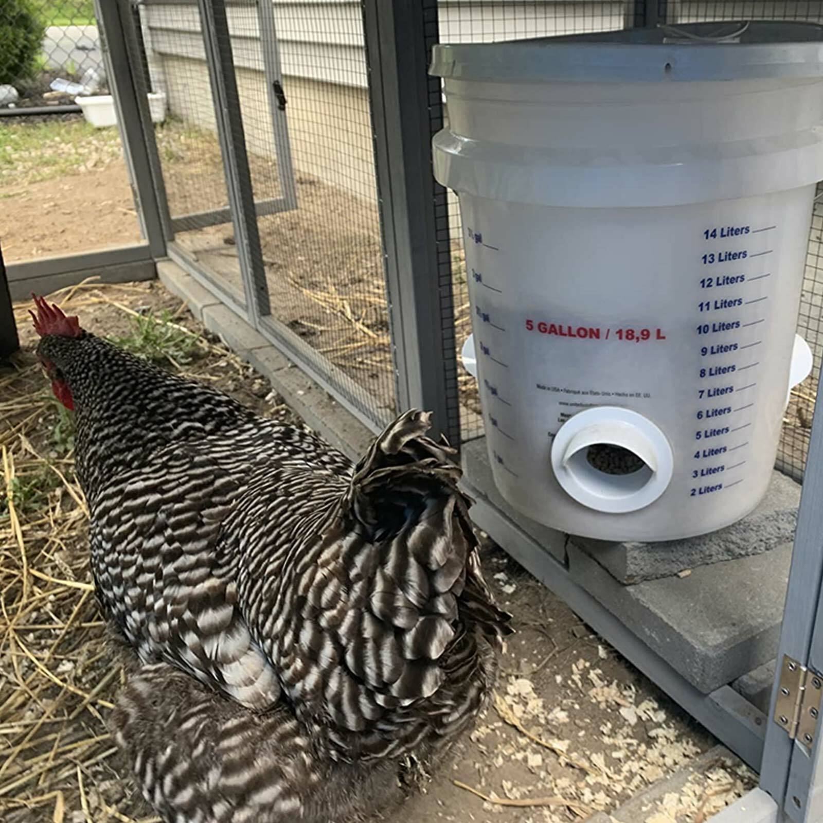 Chicken Feeder Poultry Pro Feeder DIY Port PVC Gravity Fed Chicken Feeder