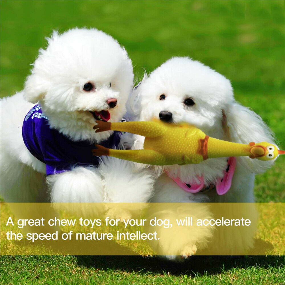 Funny Screaming Chicken Toy Squeaker Shrilling Pet Dog Bite Squeeze Rubber Chew